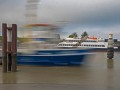 01_OM3_4294209-b