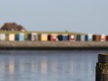 08_D_01
