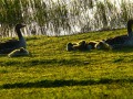 028_DSC041891
