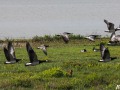 029_P5080175cbwf-b