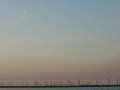 040_C_Bohnewald_Nordstrand-01