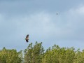088_KatWatt_2024-05