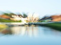 101_Toenn_2024-05