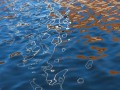 102_Toenn_2024-01