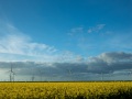 012_J_Heinrich_04_Koog-02