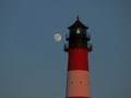 028_S_Schuldt_03_Westerhever-2025_6-b