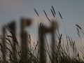 040_Chr_Bohnewald_03_Nordstrand