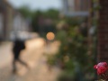 058_Chr_Bohnewald_08_DSC07406