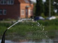 110_Chr_Bohnewald_15_DSC08156