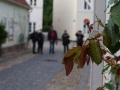 115_Chr_Bohnewald_16_DSC08230