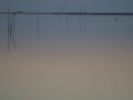124_Chr_Bohnewald_21_DSC05436