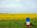 2009-19_H_Woltering.jpg