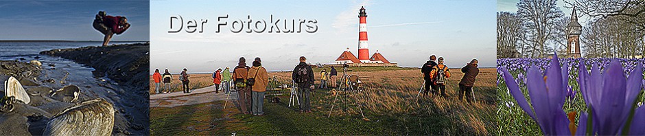 der-fotokurs.org