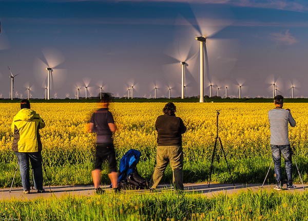 Fotokurs 2016 Raps und Windräder