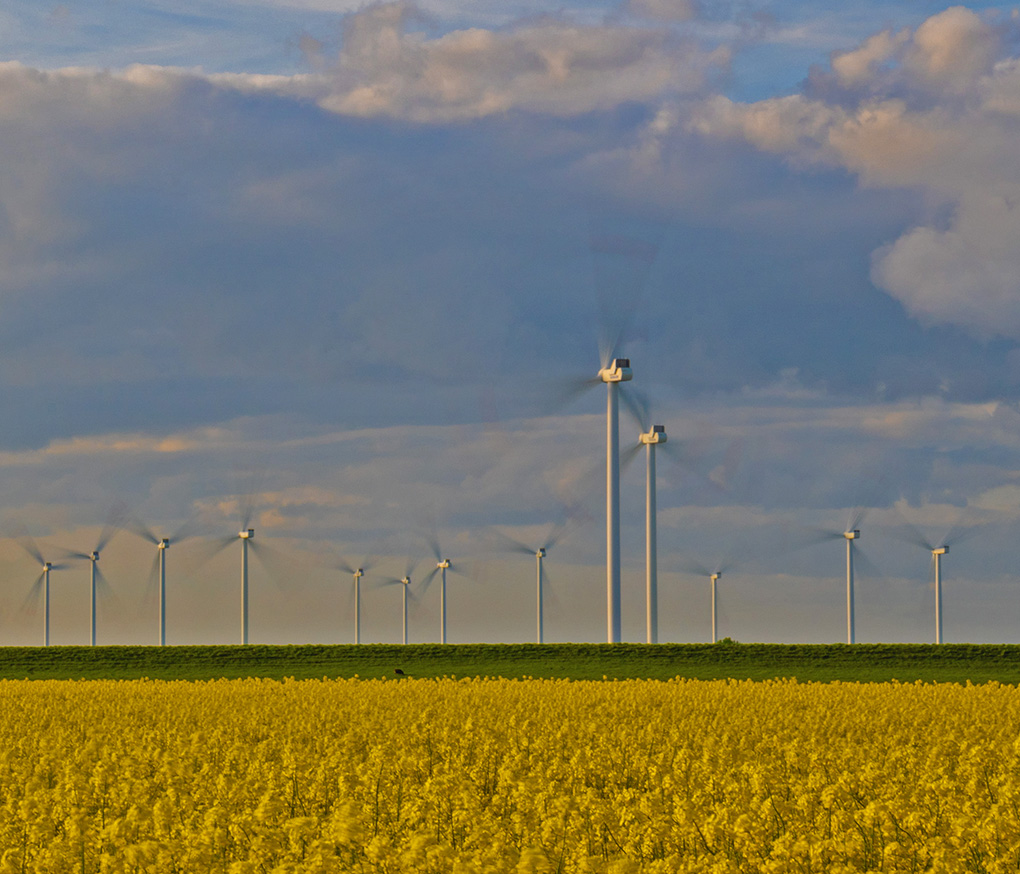 Windpark im Cecilienkoog